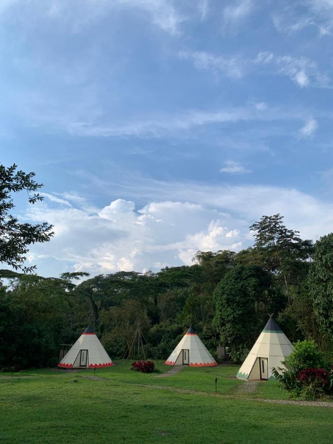 Bosque De Aventura & Glamping Refugio Del Bosque Hotel La Mesa  Exterior photo
