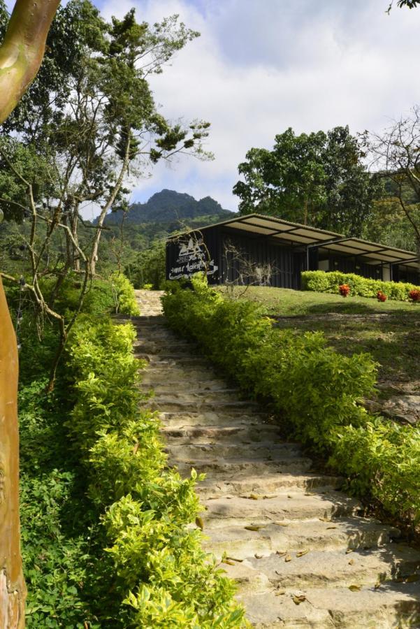 Bosque De Aventura & Glamping Refugio Del Bosque Hotel La Mesa  Exterior photo